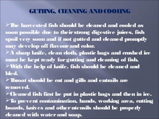 GUTTING, CLEANING ANDCOOLING
The harvested fish should be cleaned and cooled as
soon possible due to theirstrong digestive juices, fish
spoil very soon and if not gutted and cleaned promptly
may develop off flavourand color.
A sharp knife, clean cloth, plastic bags and crushed ice
must be kept ready forgutting and cleaning of fish.
With the help of knife, fish should be cleaned and
bled.
Throat should be cut and gills and entrails are
removed.
Cleaned fish first be put in plastic bags and then in ice.
To prevent contamination, hands, working area, cutting
boards, knives and otherutensils should be properly
cleaned with waterand soap.
 