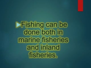 Fishing can be
done both in
marine fisheries
and inland
fisheries.
 