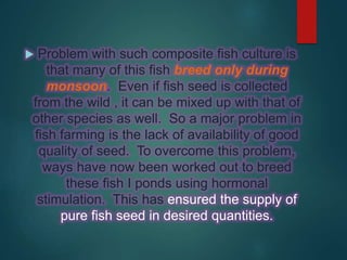  Problem with such composite fish culture is
that many of this fish breed only during
monsoon. Even if fish seed is collected
from the wild , it can be mixed up with that of
other species as well. So a major problem in
fish farming is the lack of availability of good
quality of seed. To overcome this problem,
ways have now been worked out to breed
these fish I ponds using hormonal
stimulation. This has ensured the supply of
pure fish seed in desired quantities.
 