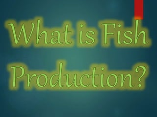 Fish production | PPTX