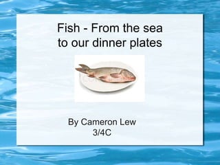 Fish - From the sea
to our dinner plates
By Cameron Lew
3/4C
 