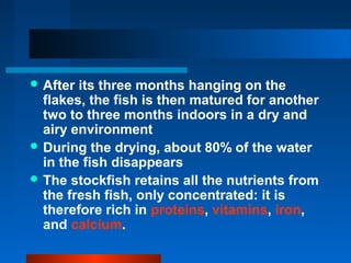  After its three months hanging on the
flakes, the fish is then matured for another
two to three months indoors in a dry and
airy environment
 During the drying, about 80% of the water
in the fish disappears
 The stockfish retains all the nutrients from
the fresh fish, only concentrated: it is
therefore rich in proteins, vitamins, iron,
and calcium.
 