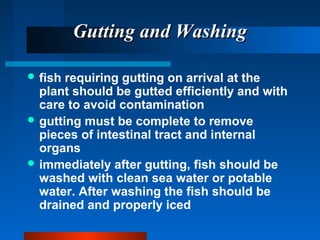 Gutting and WashingGutting and Washing
 fish requiring gutting on arrival at the
plant should be gutted efficiently and with
care to avoid contamination
 gutting must be complete to remove
pieces of intestinal tract and internal
organs
 immediately after gutting, fish should be
washed with clean sea water or potable
water. After washing the fish should be
drained and properly iced
 