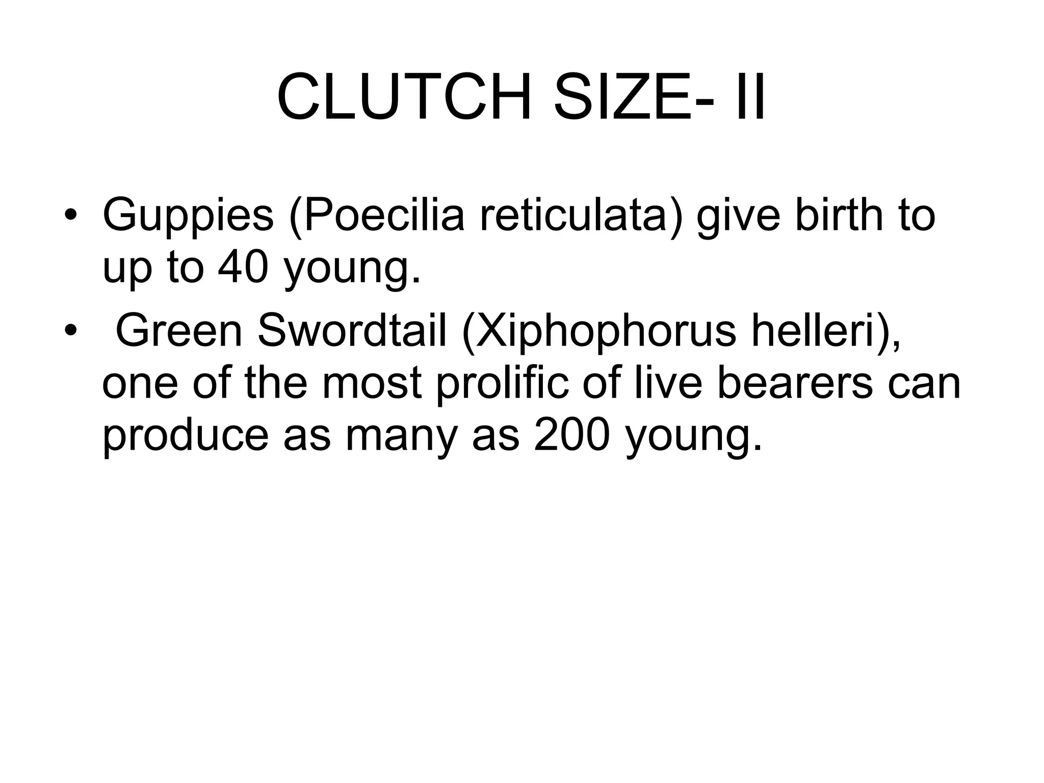 CLUTCH SIZE- II Guppies (Poecilia reticulata) give birth to up to 40 young. Green Swordtail (Xiphophorus helleri), one of the most prolific of live bearers can produce as many as 200 young. 