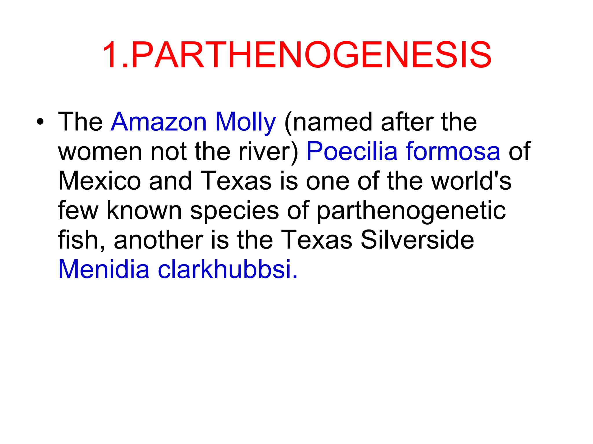 1.PARTHENOGENESIS The  Amazon Molly  (named after the women not the river)  Poecilia formosa  of Mexico and Texas is one of the world's few known species of parthenogenetic fish, another is the Texas Silverside  Menidia clarkhubbsi. 