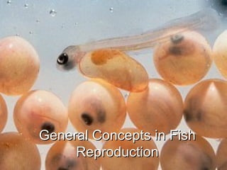 General Concepts in Fish Reproduction 
