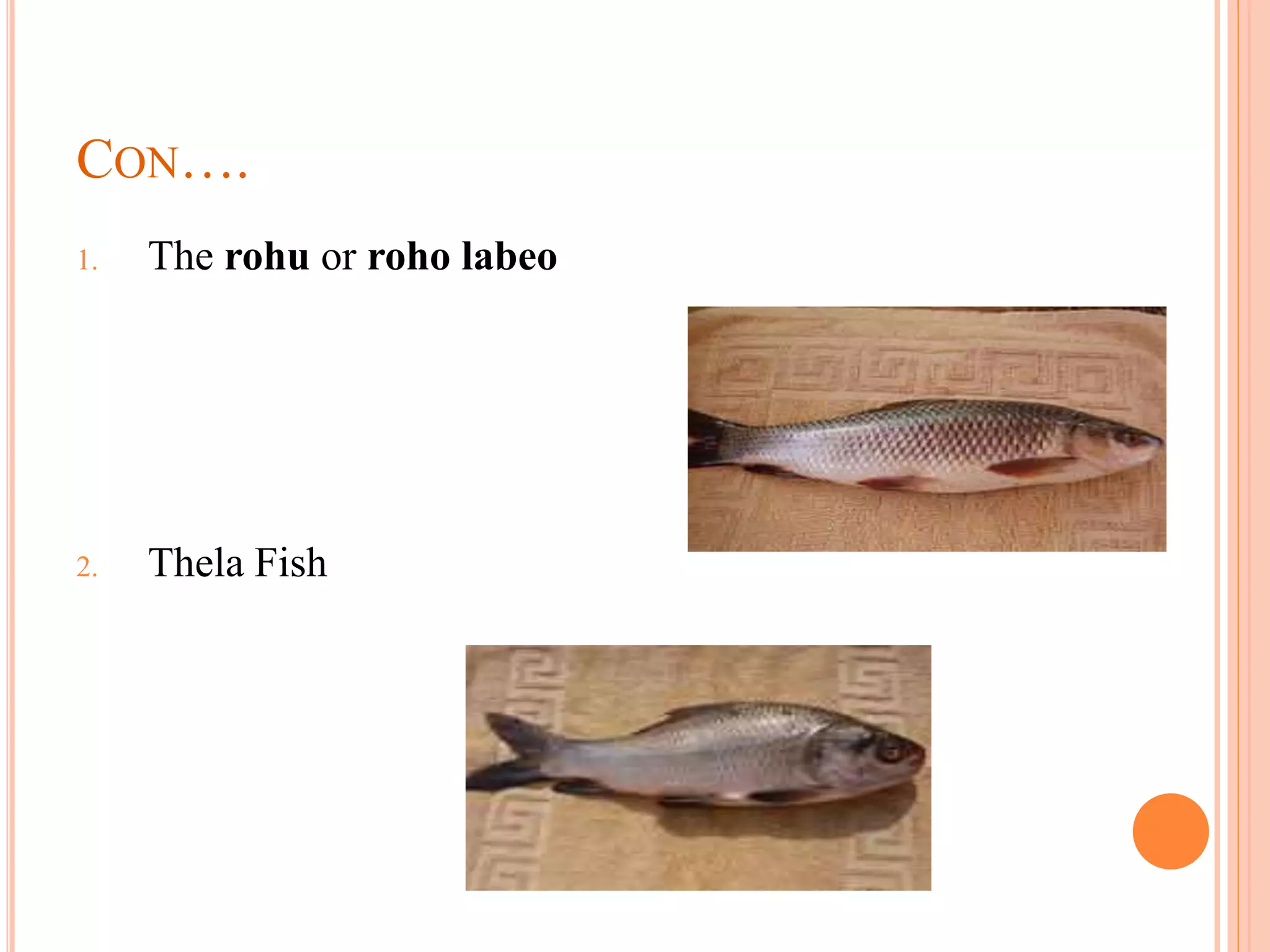 Fish resources of | PPTX