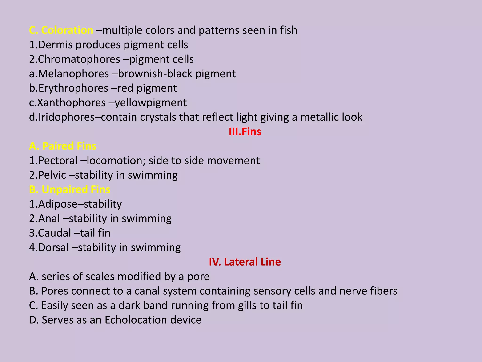 C. Coloration –multiple colors and patterns seen in fish
1.Dermis produces pigment cells
2.Chromatophores –pigment cells
a.Melanophores –brownish-black pigment
b.Erythrophores –red pigment
c.Xanthophores –yellowpigment
d.Iridophores–contain crystals that reflect light giving a metallic look
III.Fins
A. Paired Fins
1.Pectoral –locomotion; side to side movement
2.Pelvic –stability in swimming
B. Unpaired Fins
1.Adipose–stability
2.Anal –stability in swimming
3.Caudal –tail fin
4.Dorsal –stability in swimming
IV. Lateral Line
A. series of scales modified by a pore
B. Pores connect to a canal system containing sensory cells and nerve fibers
C. Easily seen as a dark band running from gills to tail fin
D. Serves as an Echolocation device
 
