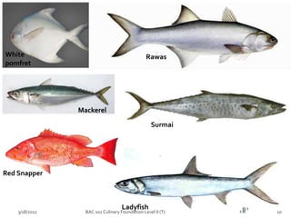 Mackerel
Red Snapper
Ladyfish
Surmai
White
pomfret
Rawas
3/18/2022 10
BAC 102 Culinary Foundation Level II (T)
 