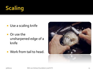  Use a scaling knife
 Or use the
unsharpened edge of a
knife
 Work from tail to head.
3/18/2022 12
BAC 102 Culinary Foundation Level II (T)
 