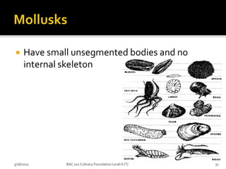  Have small unsegmented bodies and no
internal skeleton
3/18/2022 31
BAC 102 Culinary Foundation Level II (T)
 