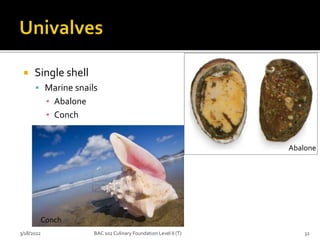  Single shell
 Marine snails
▪ Abalone
▪ Conch
3/18/2022 32
BAC 102 Culinary Foundation Level II (T)
Abalone
Conch
 