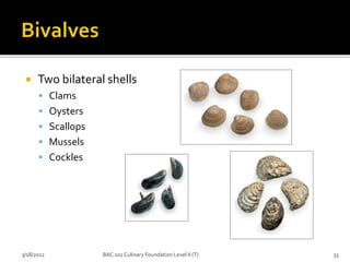  Two bilateral shells
 Clams
 Oysters
 Scallops
 Mussels
 Cockles
3/18/2022 33
BAC 102 Culinary Foundation Level II (T)
 