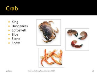  King
 Dungeness
 Soft-shell
 Blue
 Stone
 Snow
3/18/2022 36
BAC 102 Culinary Foundation Level II (T)
 