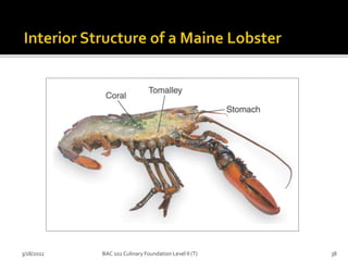 3/18/2022 38
BAC 102 Culinary Foundation Level II (T)
 