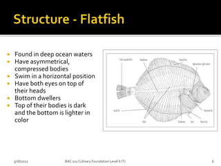  Found in deep ocean waters
 Have asymmetrical,
compressed bodies
 Swim in a horizontal position
 Have both eyes on top of
their heads
 Bottom dwellers
 Top of their bodies is dark
and the bottom is lighter in
color
3/18/2022 6
BAC 102 Culinary Foundation Level II (T)
 