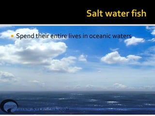  Spend their entire lives in oceanic waters
3/18/2022 9
BAC 102 Culinary Foundation Level II (T)
 