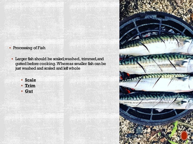 Introduction to Fish and Seafood and parts.pdf