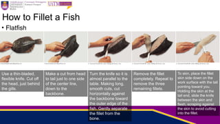 fish _ seafood for basic culinary skills.pptx