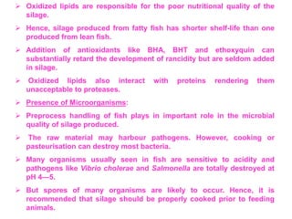  Oxidized lipids are responsible for the poor nutritional quality of the
silage.
 Hence, silage produced from fatty fish has shorter shelf-life than one
produced from lean fish.
 Addition of antioxidants like BHA, BHT and ethoxyquin can
substantially retard the development of rancidity but are seldom added
in silage.
 Oxidized lipids also interact with proteins rendering them
unacceptable to proteases.
 Presence of Microorganisms:
 Preprocess handling of fish plays in important role in the microbial
quality of silage produced.
 The raw material may harbour pathogens. However, cooking or
pasteurisation can destroy most bacteria.
 Many organisms usually seen in fish are sensitive to acidity and
pathogens like Vibrio cholerae and Salmonella are totally destroyed at
pH 4—5.
 But spores of many organisms are likely to occur. Hence, it is
recommended that silage should be properly cooked prior to feeding
animals.
 