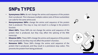 SNPs TYPES
• Synonymous SNPs: do not change the amino acid sequence of the protein
that is produced. This is because multiple codons (sets of three nucleotides)
can code for the same amino acid.
• Nonsynonymous SNPs: change the amino acid sequence of the protein
that is produced. This may or may not result in a change in the protein’s
function.
• Silent SNPs: These SNPs do not change the amino acid sequence of the
protein that is produced, but they may affect the splicing of the RNA
transcript.
• Missense SNPs: These SNPs change the amino acid sequence of the protein
that is produced, but they may not affect the protein's function.
• Nonsense SNPs: These SNPs change the amino acid sequence of the
protein that is produced, and they result in a premature stop codon. This
prevents the protein from being produced.
 