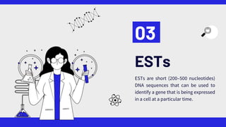 ESTs
03
ESTs are short (200–500 nucleotides)
DNA sequences that can be used to
identify a gene that is being expressed
in a cell at a particular time.
 