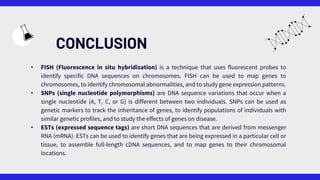 CONCLUSION
• FISH (Fluorescence in situ hybridization) is a technique that uses fluorescent probes to
identify specific DNA sequences on chromosomes. FISH can be used to map genes to
chromosomes, to identify chromosomal abnormalities, and to study gene expression patterns.
• SNPs (single nucleotide polymorphisms) are DNA sequence variations that occur when a
single nucleotide (A, T, C, or G) is different between two individuals. SNPs can be used as
genetic markers to track the inheritance of genes, to identify populations of individuals with
similar genetic profiles, and to study the effects of genes on disease.
• ESTs (expressed sequence tags) are short DNA sequences that are derived from messenger
RNA (mRNA). ESTs can be used to identify genes that are being expressed in a particular cell or
tissue, to assemble full-length cDNA sequences, and to map genes to their chromosomal
locations.
 