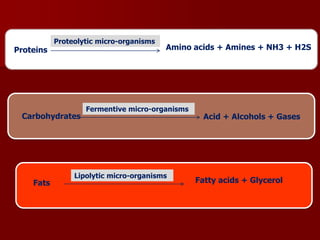 Proteins
Proteolytic micro-organisms
Amino acids + Amines + NH3 + H2S
Carbohydrates
Fermentive micro-organisms
Acid + Alcohols + Gases
Fats
Lipolytic micro-organisms
Fatty acids + Glycerol
 