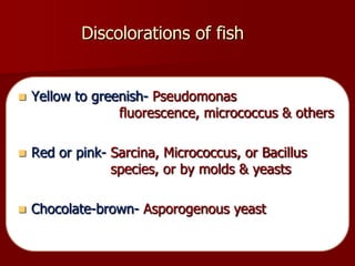 Discolorations of fish
 Yellow to greenish- Pseudomonas
fluorescence, micrococcus & others
 Red or pink- Sarcina, Micrococcus, or Bacillus
species, or by molds & yeasts
 Chocolate-brown- Asporogenous yeast
 