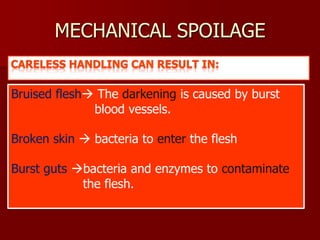 MECHANICAL SPOILAGE
Bruised flesh The darkening is caused by burst
blood vessels.
Broken skin  bacteria to enter the flesh
Burst guts bacteria and enzymes to contaminate
the flesh.
 