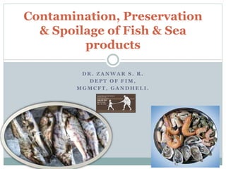 D R . Z A N W A R S . R .
D E P T O F F I M ,
M G M C F T , G A N D H E L I .
Contamination, Preservation
& Spoilage of Fish & Sea
products
 