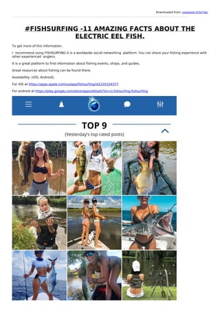 Downloaded from: justpaste.it/2e7wp
#FISHSURFING -11 AMAZING FACTS ABOUT THE
ELECTRIC EEL FISH.
To get more of this information.
I recommend using FISHSURFING it is a worldwide social networking platform. You can share your fishing experience with
other experienced anglers.
It is a great platform to find information about fishing events, shops, and guides.
Great resources about fishing can be found there.
Availability: (iOS, Android).
For iOS at https://apps.apple.com/us/app/fishsurfing/id1235154377
For android at https://play.google.com/store/apps/details?id=cz.fishsurfing.fishsurfing
 