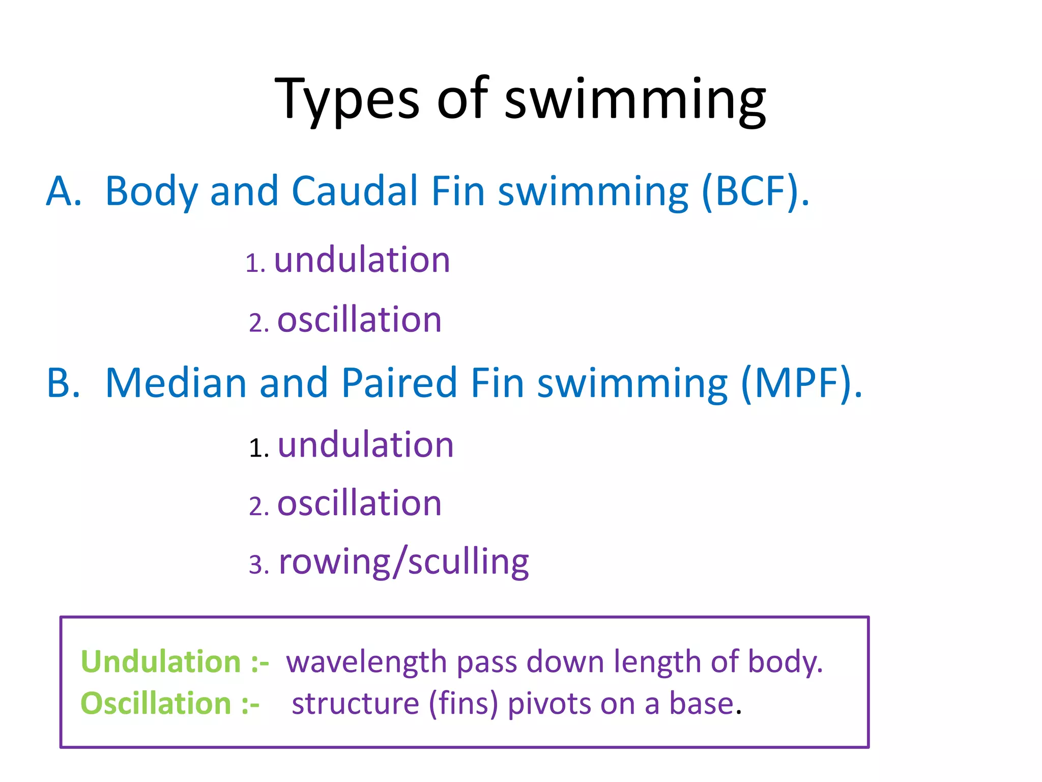 Types of swimming 
A. Body and Caudal Fin swimming (BCF). 
1. undulation 
2. oscillation 
B. Median and Paired Fin swimming (MPF). 
1. undulation 
2. oscillation 
3. rowing/sculling 
Undulation :- wavelength pass down length of body. 
Oscillation :- structure (fins) pivots on a base. 
 