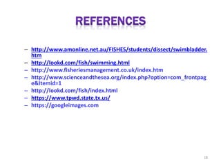 – http://www.amonline.net.au/FISHES/students/dissect/swimbladder. 
htm 
– http://lookd.com/fish/swimming.html 
– http://www.fisheriesmanagement.co.uk/index.htm 
– http://www.scienceandthesea.org/index.php?option=com_frontpag 
e&Itemid=1 
– http://lookd.com/fish/index.html 
– https://www.tpwd.state.tx.us/ 
– https://googleimages.com 
18 
 