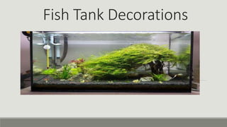 Fish Tank Decorations
 