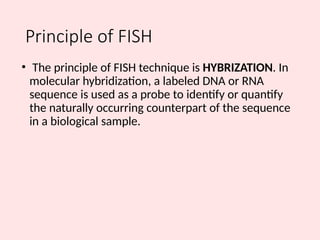 Fish Method Slide FISH Technique-WPS Officeeeeeeeeeeeeeeeee | PPTX