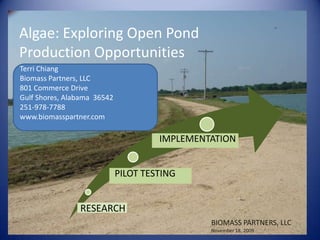 Algae: Exploring Open Pond Production Opportunities Terri Chiang Biomass Partners, LLC 801 Commerce Drive Gulf Shores, Alabama  36542 251-978-7788 www.biomasspartner.com BIOMASS PARTNERS, LLC November 18, 2009 