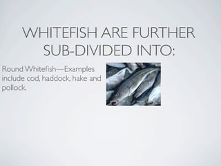 WHITEFISH ARE FURTHER
       SUB-DIVIDED INTO:
Round Whiteﬁsh—Examples
include cod, haddock, hake and
pollock. 
 