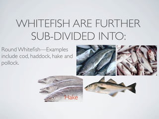 WHITEFISH ARE FURTHER
       SUB-DIVIDED INTO:
Round Whiteﬁsh—Examples
include cod, haddock, hake and
pollock. 




                          Hake
 