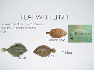 FLAT WHITEFISH
Examples include plaice, lemon
sole, brill, turbot and black
sole. 
                                                  Black sole
                                 Lemon sole


                                         Turbot
            Plaice               Brill
 