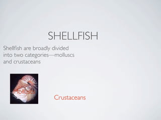 SHELLFISH
Shellﬁsh are broadly divided
into two categories—molluscs
and crustaceans




   Molluscs
                    Crustaceans
 