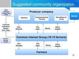 Fish value chain 2 | PPT