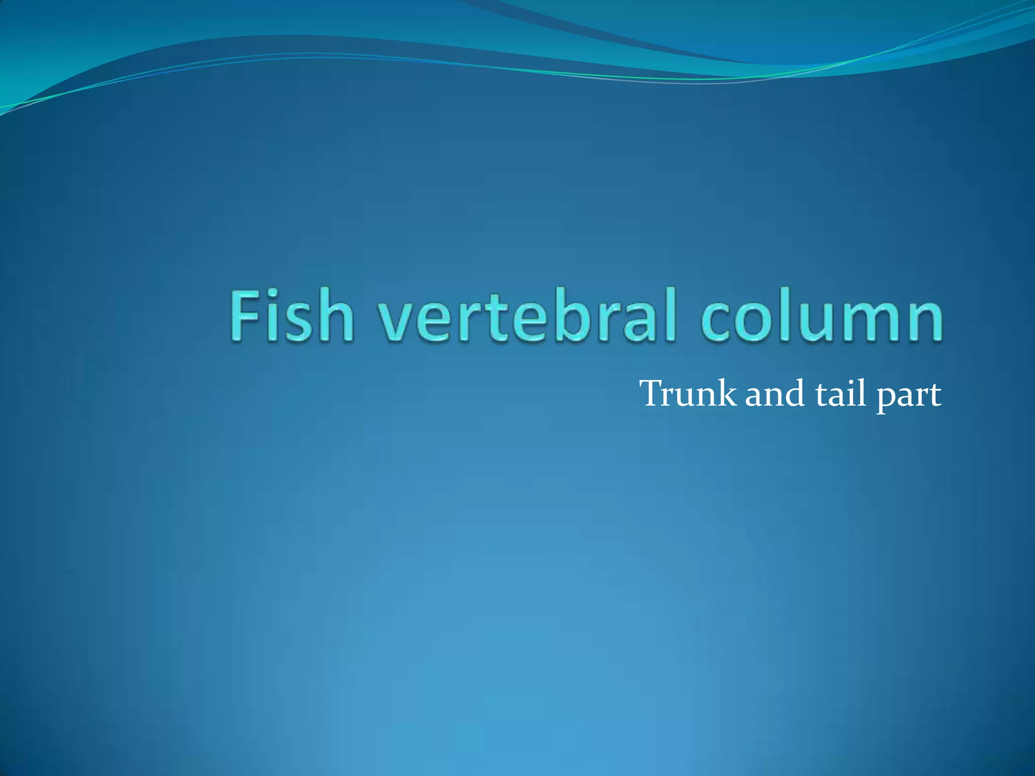 fish-vertebral-column-ppt