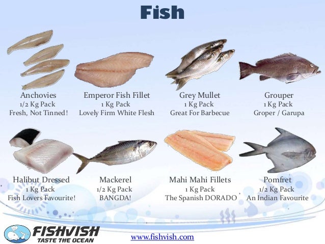 FishVish - Now Seafood Differently!