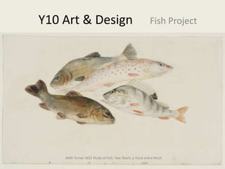 Y10 Art & Design Fish Project
JMW Turner 1822 Study of Fish: Two Tench, a Trout and a Perch
 
