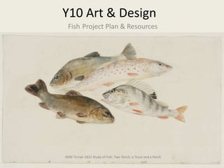 Y10 Art & Design
Fish Project Plan & Resources
JMW Turner 1822 Study of Fish: Two Tench, a Trout and a Perch
 