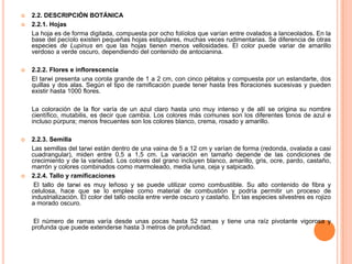 1.2. HISTORIA DEL CHOCHO O TARWISe cree que el cultivo de lupinus comenzó aproximadamente entre 2200 y 2500 años a.C. Se cuenta que los lupinos especialmente L. albus se cultivaban en el antiguo Egipto  por los Griegos y Romanos. Por otro lado L. mutabilis era cultivado por los incas en los Andes en la zona que hoy en día es Ecuador y Bolivia. Antes de la invasión española a los territorios del continente Americano, la Historia no registra datos de que en el Tahuantinsuyo haya existido desnutrición.Se han encontrado restos de semillas de tarwi en tumbas de Nazca (100-500 años AC) y algunas pinturas estilizadas de esta planta están representadas en cerámicas tiawanaquenses (500 - 1000 DC) de las regiones altoandinas, según Torres, 1976. Antúnez de Mayolo (1982)presenta varias evidencias de la importancia alimenticia que tuvo el L. mutabilisen la época prehispánica.Durante la época colonial, la primera referencia sobre el tarwi proviene del padre Valverde quien, en una carta al rey de España en1539, sugiere que se paguen los impuestos con este grano.La imposición de un régimen colonial que distribuyó las tierras a los invasores españoles, trajo como consecuencia la pérdida de la principal fuente de producción de alimentos de los pueblos conquistados, que al pasar al estado de esclavitud, tuvieron que cultivar los productos ordenados por el latifundista español, el cual impuso una tecnología agrícola distinta de la que a lo largo de miles de años los pobladores primitivos de América habían desarrollado. Antes de la conquista española, los indígenas, sea en las zonas tropicales de la costa y la selva amazónica o en las altiplanicies andinas, domesticaron y cultivaron una variedad de plantas alimenticias que formaron parte de su dieta. 