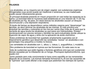 VALOR NUTRITIVO DEL CHOCHO O TARWI      El chocho es uno de los alimentos vegetales más ricos en proteínas pues contiene del 45 al 50%. Las semillas son excepcionales nutritivas. Las proteínas y el aceite constituyen más de la mitad de su peso, un estudio hecho en 300 diferentes genotipos de semillas muestra que la proteína contenida varía de 41 a 51 %. El aceite varia de 24 a 14%. Quitándole la cáscara a la semilla y moliendo el grano se obtiene una harina constituida por 50% de proteínas.La proteína del tarwi contiene cantidades adecuadas de lisina y cistina, pero tiene únicamente 23 a 30% de la metionina requerida para el óptimo crecimiento de los animales. El aceite de tarwi es de color claro lo cual lo hace aceptable para el uso doméstico. Es similar al aceite de maní y es relativamente rico en ácidos grasos no saturados, incluyendo el ácido linoleico. El contenido de fibra de la semilla no es excesivo, pero puede constituir una fuente importante de minerales      Pese a que hay unas 60 posibilidades de preparación del chocho (sopas, bocaditos, helados, postres, galletas, coladas, chicha, cocteles, salsas), su consumo no es lo suficientemente amplio; más si consideramos su alto contenido de proteínas, 51%, incluso mayor que el de la soya que tiene 40%, por ello se lo conoce como carne criolla. Dos cucharas de chocho equivalen al valor proteínico de una onza de carne de res. El chocho repara tejidos y células, contribuye al crecimiento, previene la osteoporosis, anemia y es ideal para el sistema nervioso.Desde hace unos diez años, muchos científicos sudamericanos se han preocupado por entender el porqué del bajo consumo de este alimento que es una fuente de calcio, fósforo, magnesio, hierro y cinc; si consideramos que la población sudamericana es medianamente desnutrida.       El chocho o tarwi al tener un alto contenido de proteínas mayor que el de la soja,  ayuda a los niños en su crecimiento y desarrollo cerebral, pues tiene calcio y aminoácidos, además  previene la anemia.  