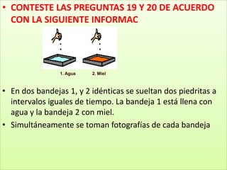 CONTESTE LAS PREGUNTAS 19 Y 20 DE ACUERDO CON LA SIGUIENTE INFORMACEn dos bandejas 1‚ y 2 idénticas se sueltan dos piedritas a intervalos iguales de tiempo. La bandeja 1 está llena con agua y la bandeja 2 con miel.Simultáneamente se toman fotografías de cada bandeja
