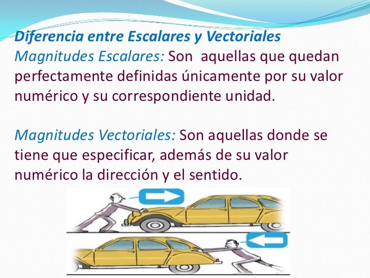 Que Diferencia Hay Entre Magnitudes Escalares Y